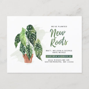 Cartão Postal De Anúncio Novas Raízes Modernas Plantadas Mudando Novo Ender