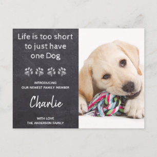 Cartão Postal De Anúncio Novo Cachorro Novo Filhote Personalizado Foto Cão