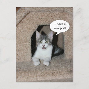 Cartão Postal De Anúncio Novo Endereço