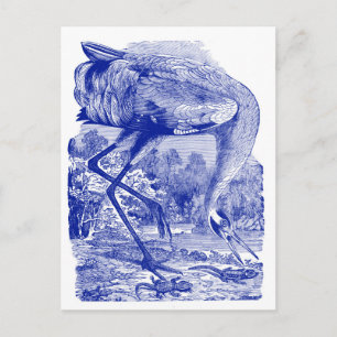 Cartão Postal De Anúncio Novo Endereço Vintage Bird Azul Grua-de-bico