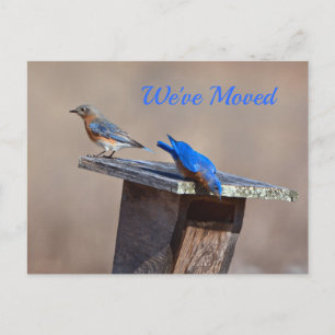 Cartão Postal De Anúncio Novo lançamento