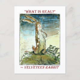 Cartão Postal De Anúncio O Coelho Velveteen