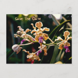 Cartão Postal De Anúncio O Wild Orchid Salva O Cartão-Postal De Data