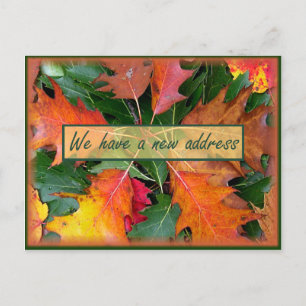 Cartão Postal De Anúncio Oak de Fall Season Sai em Movimento