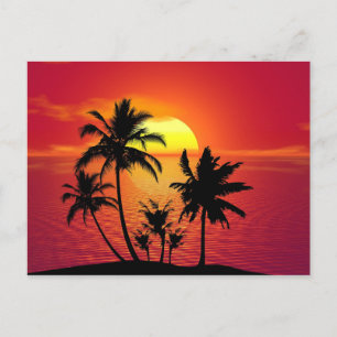 Cartão Postal De Anúncio Palmas no por do sol