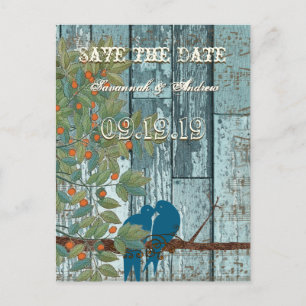 Cartão Postal De Anúncio Pássaros do Amor Azul Teal Sentados na Árvore Salv