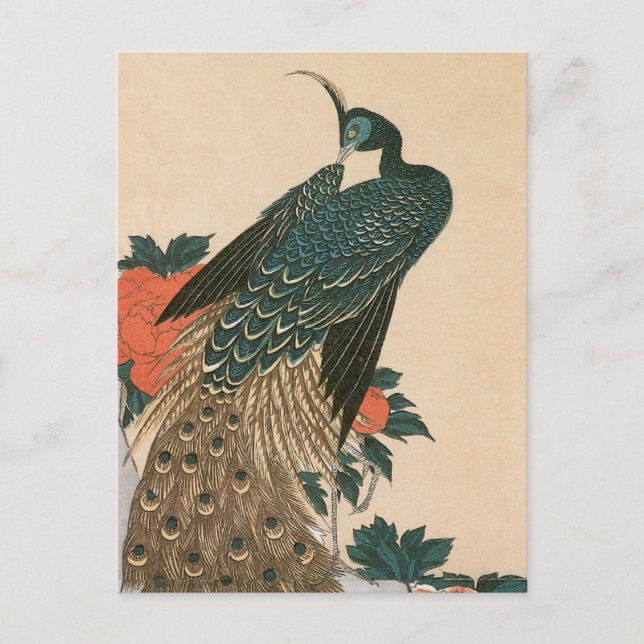 Cartão Postal De Anúncio Peacock e Peonies por Casamento Hiroshige (Frente)