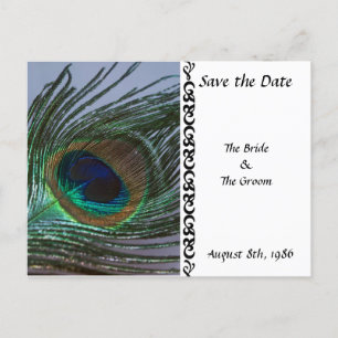 Cartão Postal De Anúncio Peacock Fantástico Salve o Cartão-Postal de Data