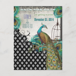 Cartão Postal De Anúncio Penas de Pavão Save the Date gaiola de pássaros