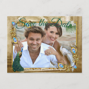 Cartão Postal De Anúncio Penas de Peacock Reais ouros