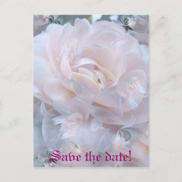 Cartão Postal De Anúncio Pétalas cor-de-rosa