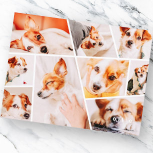 Cartão Postal De Anúncio Pets Moderno Simples Personalizado 9 Imagens Colag
