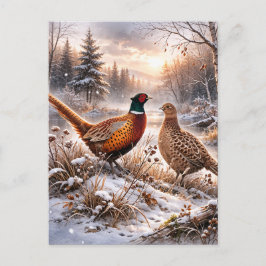 Cartão Postal De Anúncio Pheasant 