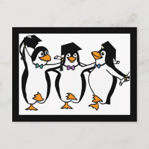 Cartão Postal De Anúncio Pinguins de Graduação