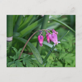 Cartão Postal De Anúncio Postais de Salve a Data