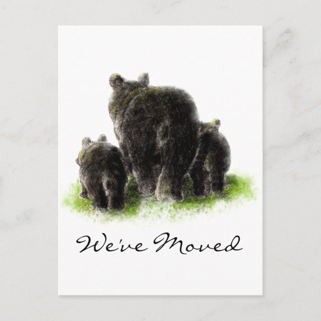 Cartão Postal De Anúncio Preto Urso Negro Natureza Animal Endereço Novo Lar (Frente)