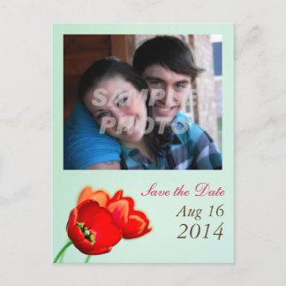 Cartão Postal De Anúncio Primavera tulip Red Mint Jardim das Casas da Moeda