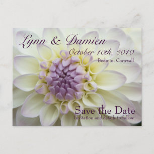 Cartão Postal De Anúncio Purple Dahlia ・ Salve o Cartão-Postal de Data