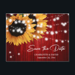 Cartão Postal De Anúncio Red Sunflower Wedding Save The Date Postcard<br><div class="desc">Rustic red floral wedding save the date postcard featuring sunflowers and string lights on a barn wood background.</div>