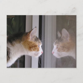 Cartão Postal De Anúncio Remendos