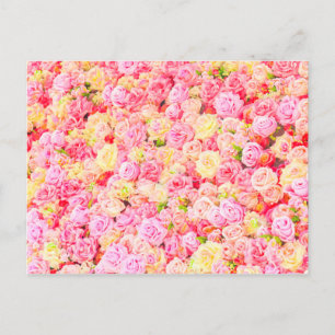 Cartão Postal De Anúncio Rosa