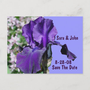 Cartão Postal De Anúncio Rosa de Íris Roxa Casamento Salve A Data