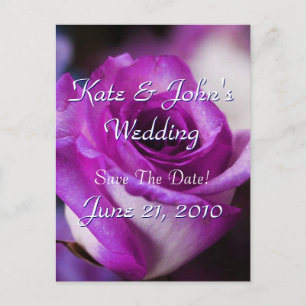 Cartão Postal De Anúncio Rosa púrpura