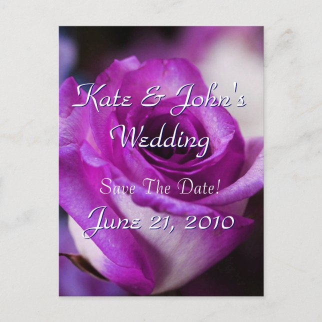 Cartão Postal De Anúncio Rosa púrpura (Frente)