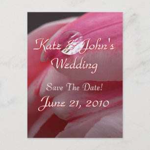 Cartão Postal De Anúncio Rosa Rosa Rosa