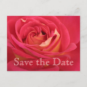 Cartão Postal De Anúncio Rosa Salve a data 60ª Celebração de Aniversário -