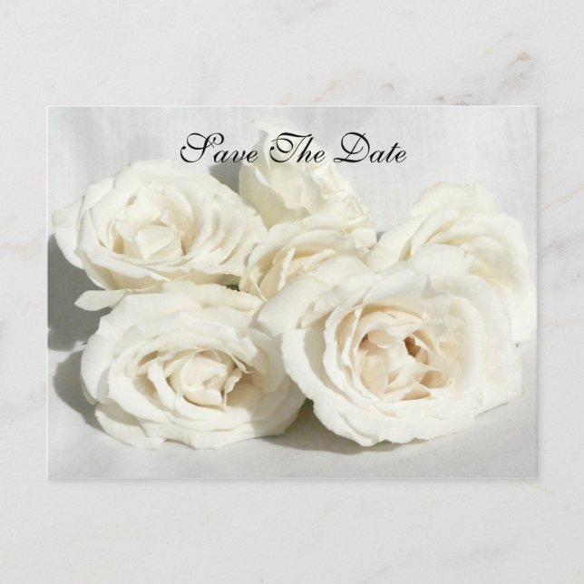 Cartão Postal De Anúncio Rosas em Linen (Frente)