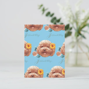 Cartão Postal De Anúncio Rosto Feliz de Toy Poodle