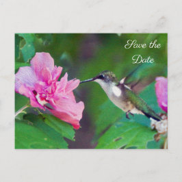 Cartão Postal De Anúncio Ruby Throated Hummingbird Salve o Cartão-Postal