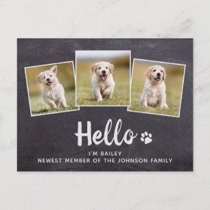 Cartão Postal De Anúncio Rustic Chalkboard New Pet Photo Hello Puppy Dog