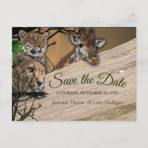 Cartão Postal De Anúncio Safari ao Ar Livre Salve a Data
