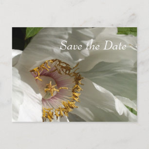 Cartão Postal De Anúncio Salvar a data