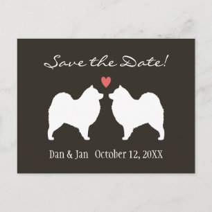 Cartão Postal De Anúncio Salvar a Data do Casamento de Samoyeds
