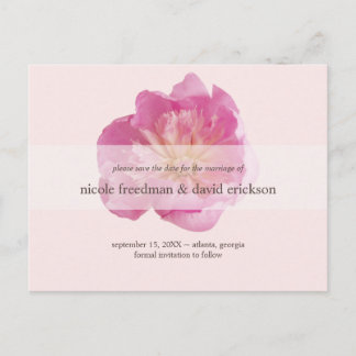 Cartão Postal De Anúncio Salvar a data do casamento moderno rosa flor de pe