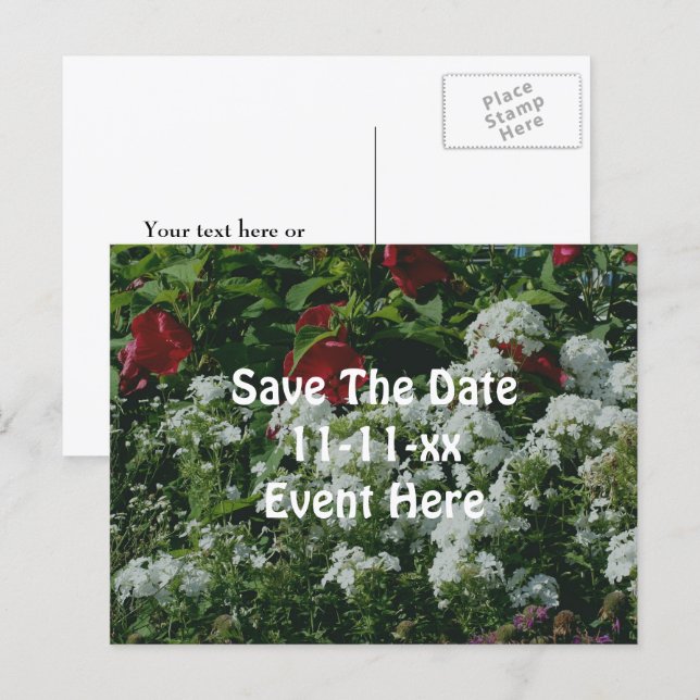 Cartão Postal De Anúncio Salvar a Data Jardim de Flores Hibisco Phlox (Frente/Verso)