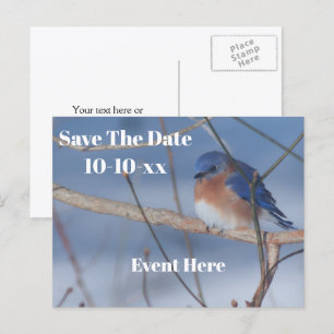 Cartão Postal De Anúncio Salvar a Data Pássaro Azul Natureza Personalizado