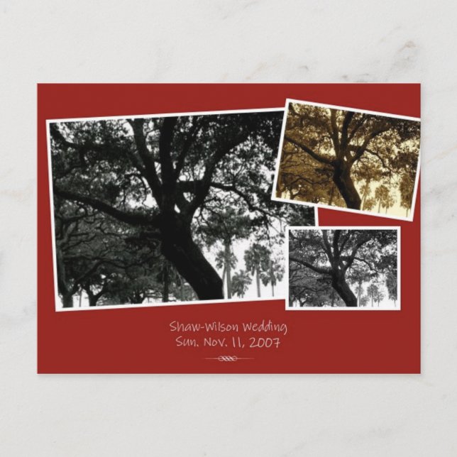 Cartão Postal De Anúncio SalvarAData (Frente)