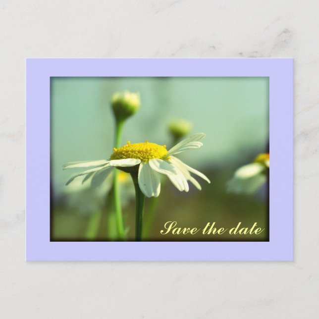 Cartão Postal De Anúncio Salve a data (Frente)