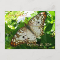 Salve a Data Borboleta em Jasmin Postcard