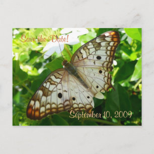 Cartão Postal De Anúncio Salve a Data Borboleta em Jasmin Postcard