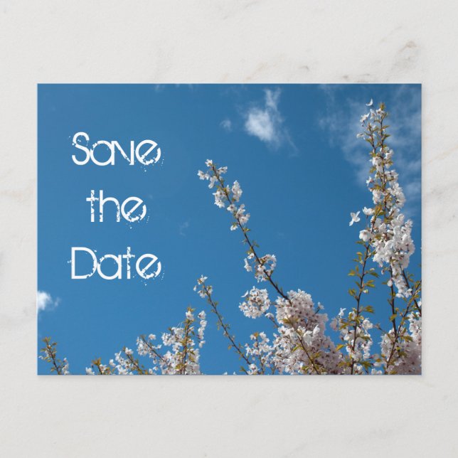 Cartão Postal De Anúncio Salve a data, cereja floresce no céu azul. (Frente)