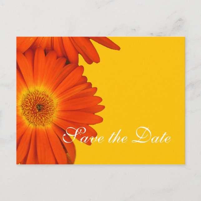 Cartão Postal De Anúncio salve a data, flores de gerbera margarida (Frente)
