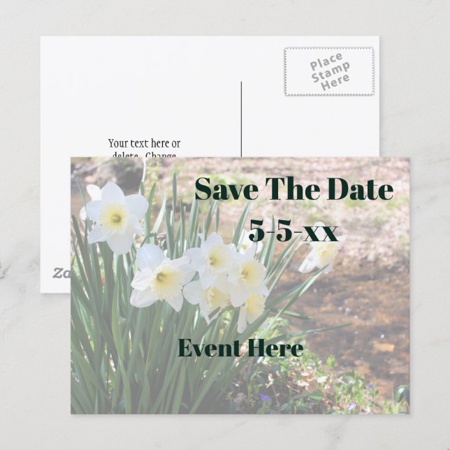 Cartão Postal De Anúncio Salve A Data Flores De Narciso Brancas (Frente/Verso)