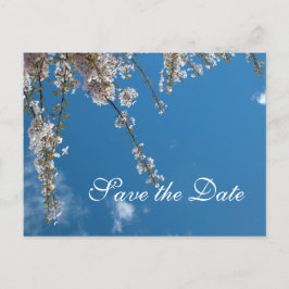 Cartão Postal De Anúncio Salve a data, galhos florescentes de cereja no céu