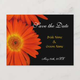 Cartão Postal De Anúncio salve a data,gerbera margarida