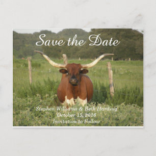 Cartão Postal De Anúncio Salve a Data Texas Longhorn